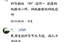 平安催账公司：高效解决企业账款难题的专家