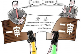 /img/1918.png/img/1918.png打官司讨债律师：您的债务维权专家/img/1918.png