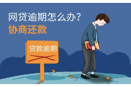 随申码要账花样视频：揭秘新型债务催收手段