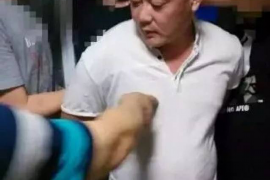 /img/424.png/img/424.png武汉催收500家：揭秘金融行业的风险与应对/img/424.png